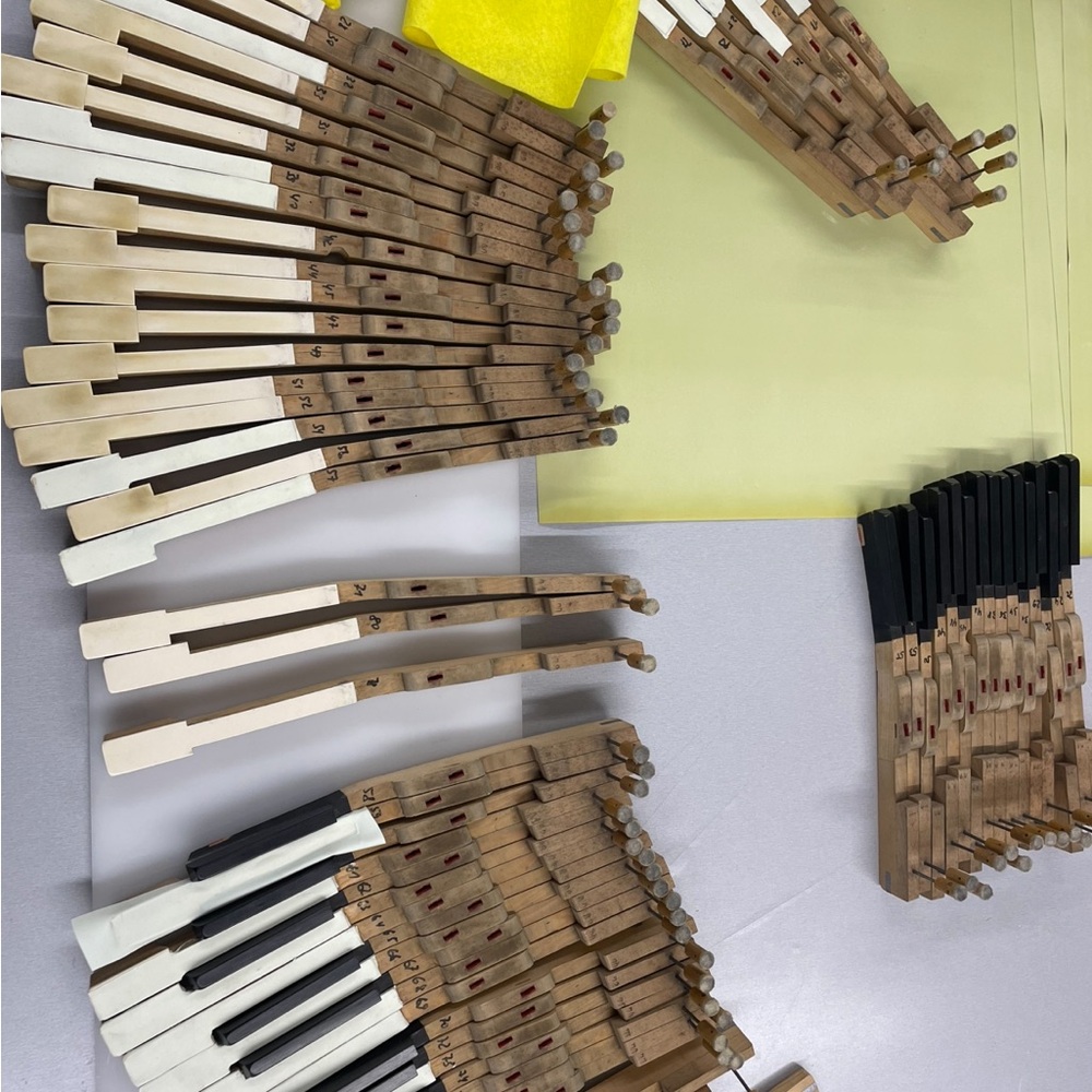 Piano Keys Assembly - Natural Wood and Black/White Keytops